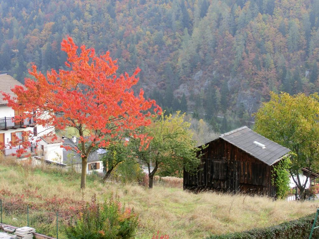 Hotel Belvedere Wellness & Family Baselga di Pinè Exteriör bild